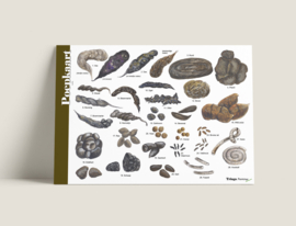 Herkenningskaart uitwerpselen