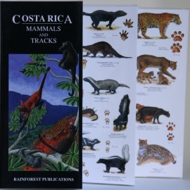 Costa Rica - Mammals