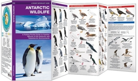 Antarctic Wildlife Guide