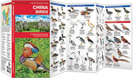 China - Vogels