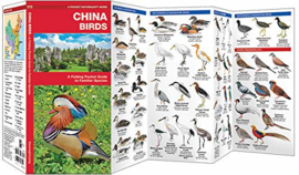 Oiseaux de la Chine