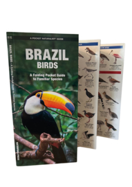 Brazilië vogels