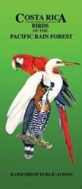 Costa Rica - Aves de la selva del Pacifico