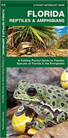 Florida - Reptiles and Amphibians