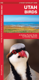 Utah Bird Guide