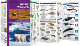 Arctisch wildlife