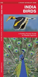 Guide des oiseaux en Inde