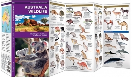 Wildlife guide Australia