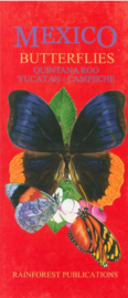 Yucatan - Vlinders