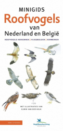 Minigids Roofvogels van Nederland en België