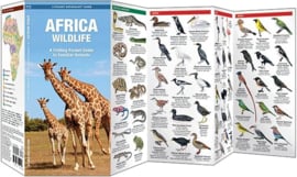 Guide des animaux en Afrique