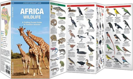 África - Guía de fauna