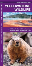 Yellowstone Wildlife Guide