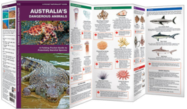 Australia Dangerous Animals