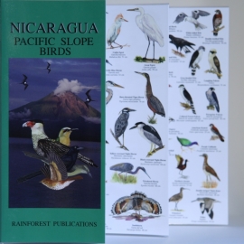 Nicaragua - Bird guide