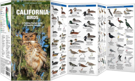 Californië - Vogels