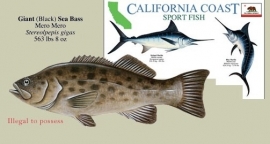 California - Peces de pesca deportiva