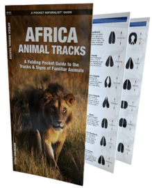 Guide des traces d'animaux en Afrique