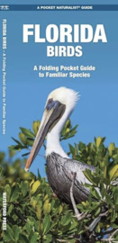 Florida - Birds