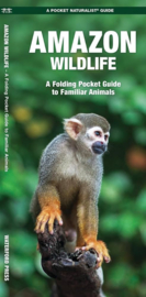 Amazon Wildlife Guide