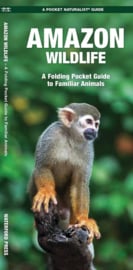 Guide des animaux d'Amazonie
