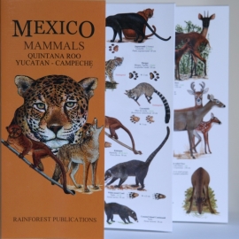 Guide des mammifères du Mexique