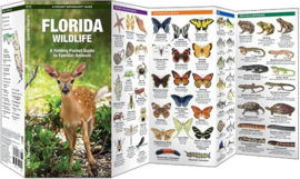 Florida Tiere