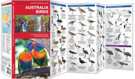 Oiseaux d'Australie