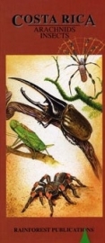 Costa Rica - Arácnidos e insectos