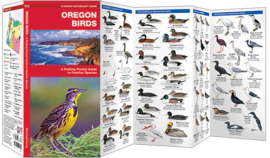 Oregon Vögel