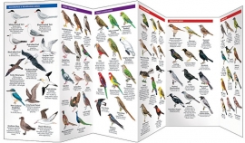 New Zealand Bird Guides
