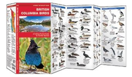 British Columbia - Vogels