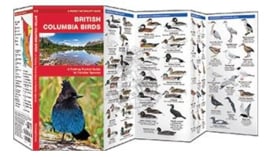 Vögel British Columbia