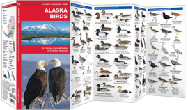 Vogelführer Alaska