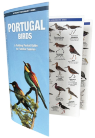 Portugal - Vögel
