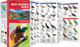 Birds New Guinea