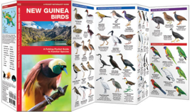 Aves de Nueva Guinea