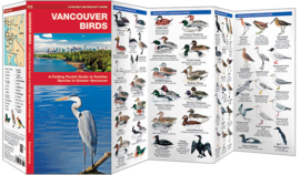 Oiseaux de Vancouver