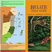 Belize - Zoogdieren, amfibieën en reptielen