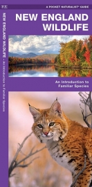 New England Wildlife Guide