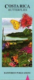 Costa Rica - Schmetterlinge
