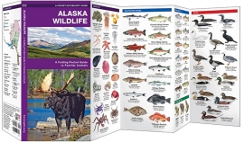 Alaska Wildlife Guide