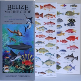 Belize - Marine Guide