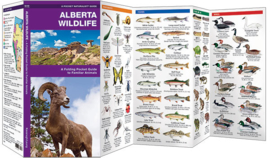 Guide des animaux en Alberta