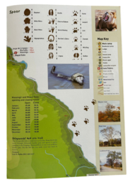 Guía del Parque Nacional Kruger
