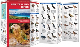 Nueva Zelanda - Aves