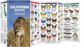 Californië - Dieren