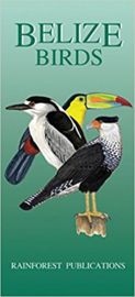 Guide des Oiseaux de Belize