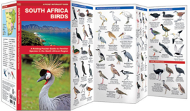 Vögel im südlichen Afrikas