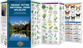 Grand Teton - Natuurgids